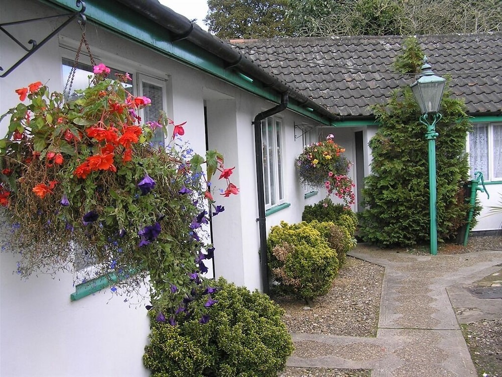 The Willow House 17/20