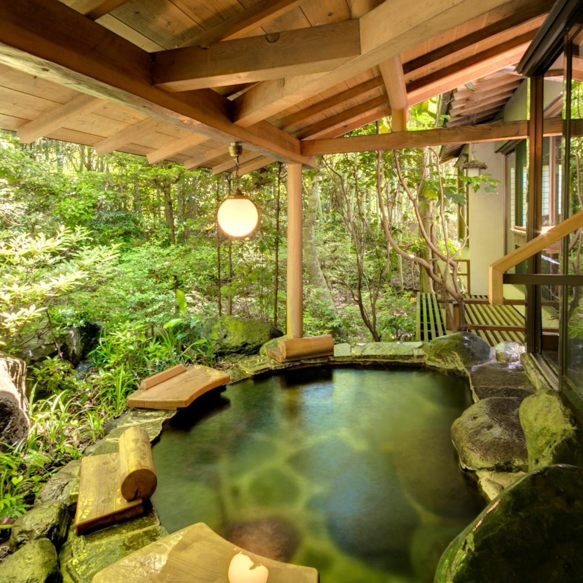 Shimoda Rendaiji Onsen Seiryuso 31/50