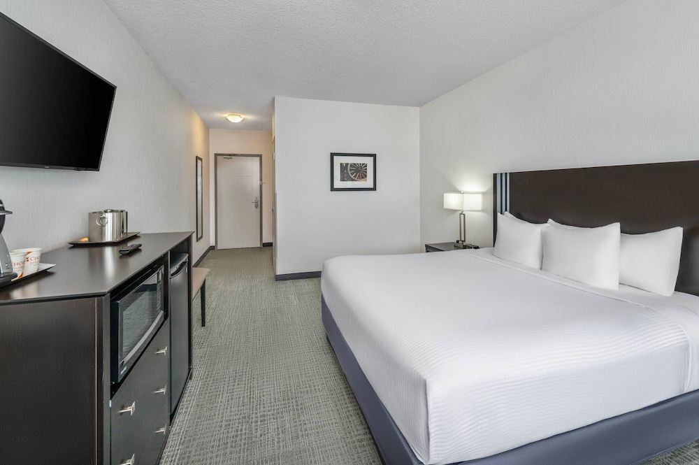 Room, King Bed