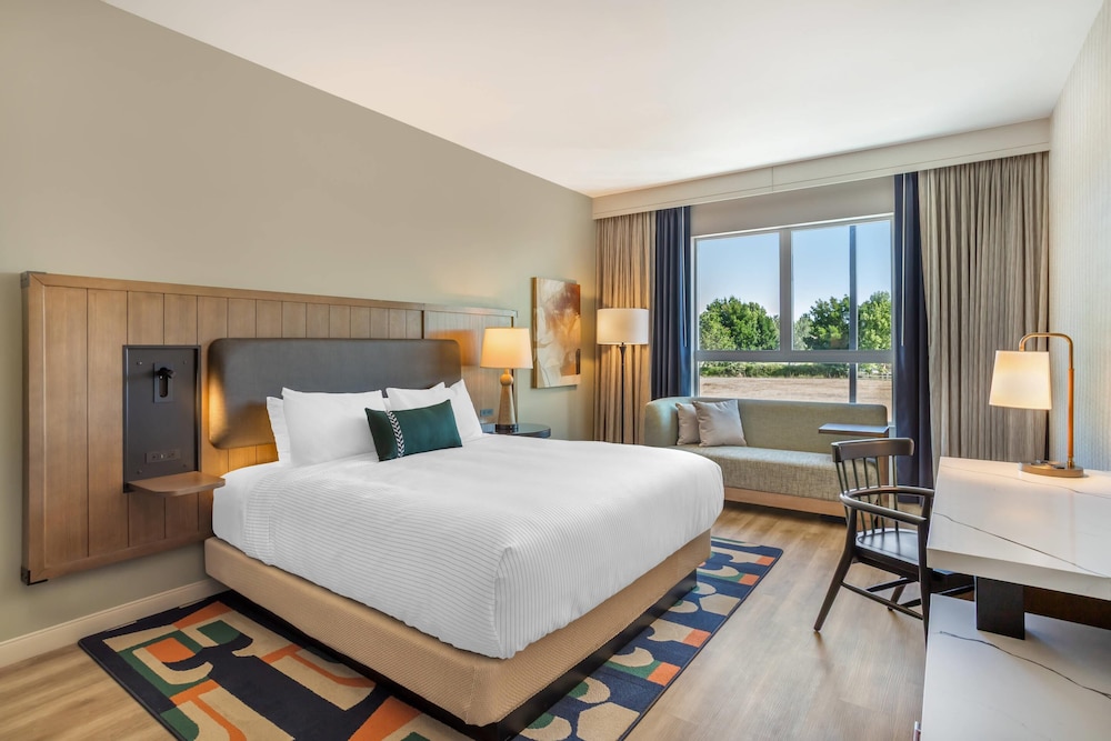 Upgrade, Efficiency, Suite, King Bed, Sofa