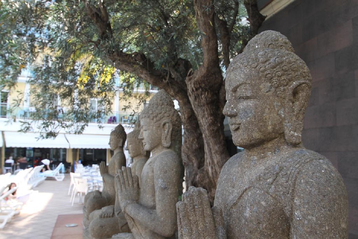Hotel la Palmera Spa 17/35