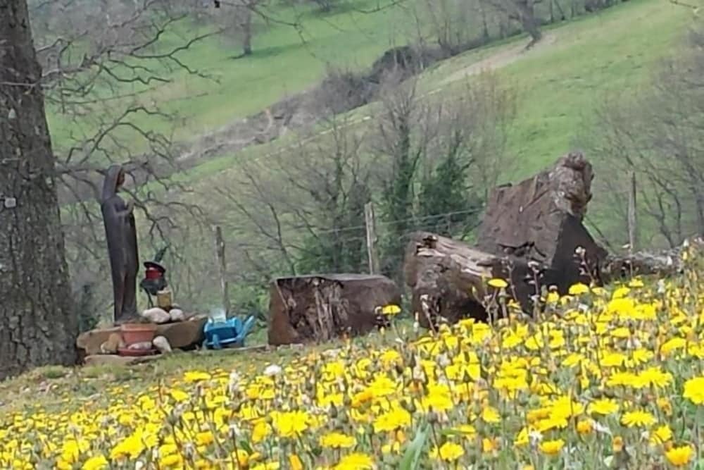 Poggio Al Vento 28/40