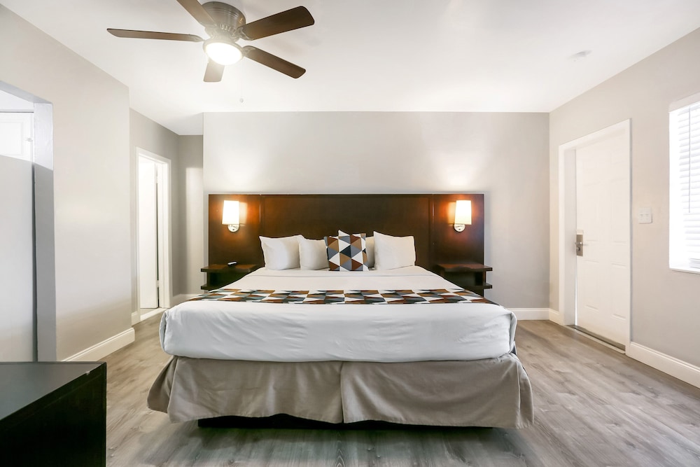 Hollywood Beach Hotels 23/92