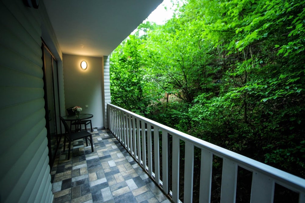 Borjomi Underwood Hotel 54/60