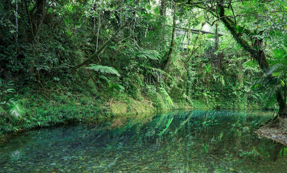 Heritage Lodge In the Daintree 43/53