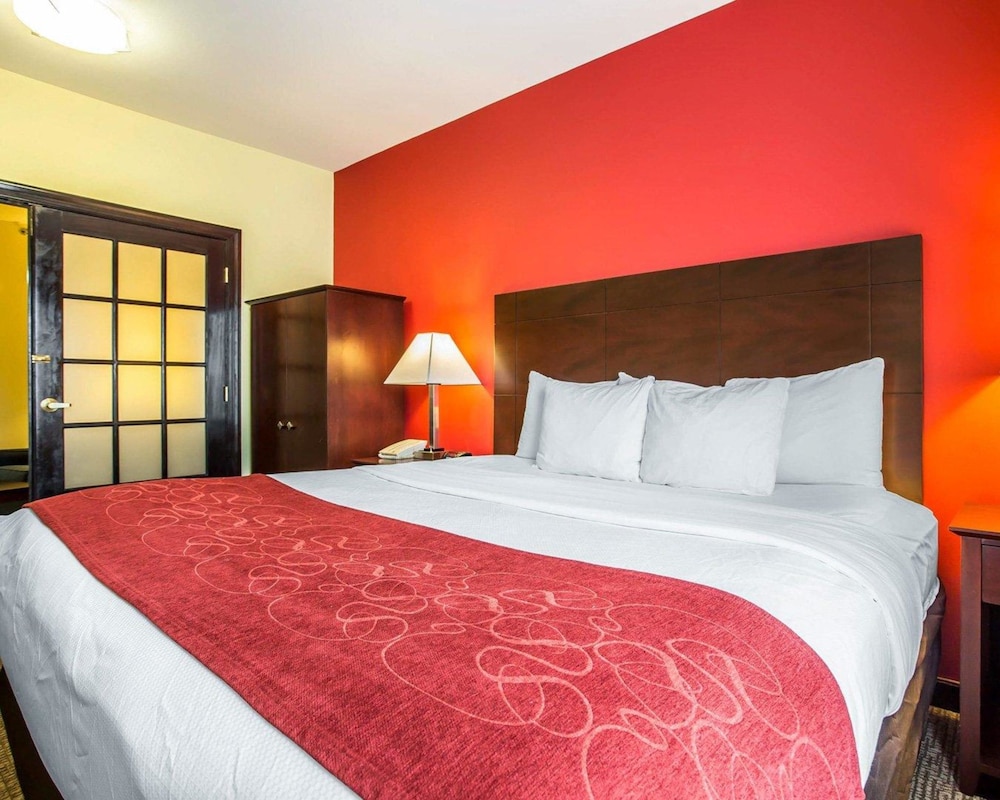 Comfort Suites Rock Hill Manchester Meadows Area 6/25