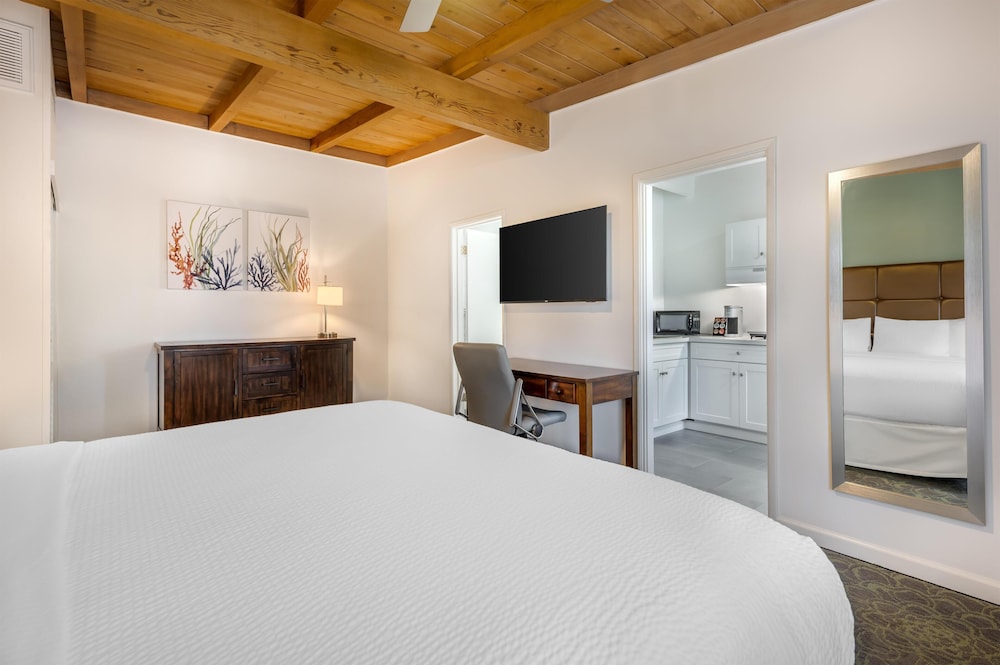 Standard, King Bed, Kitchen