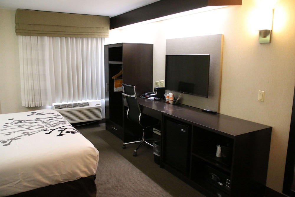 Sleep Inn Near Great Lakes Naval Base 13/38