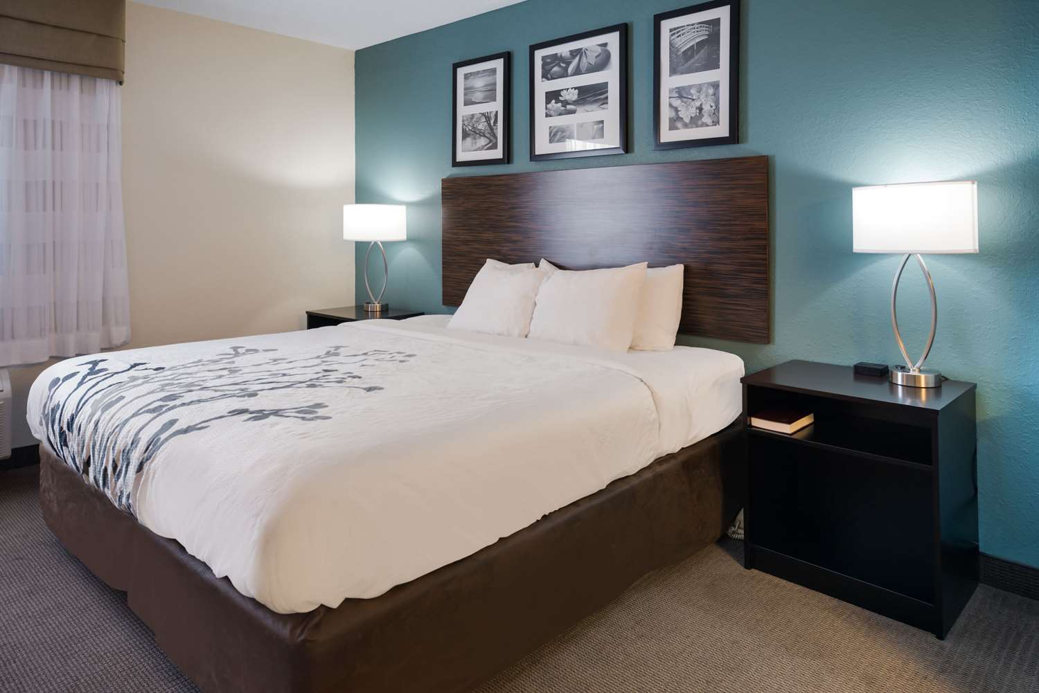Suite, King Bed