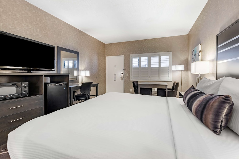 STANDARD, KING BED, ACCESSIBLE