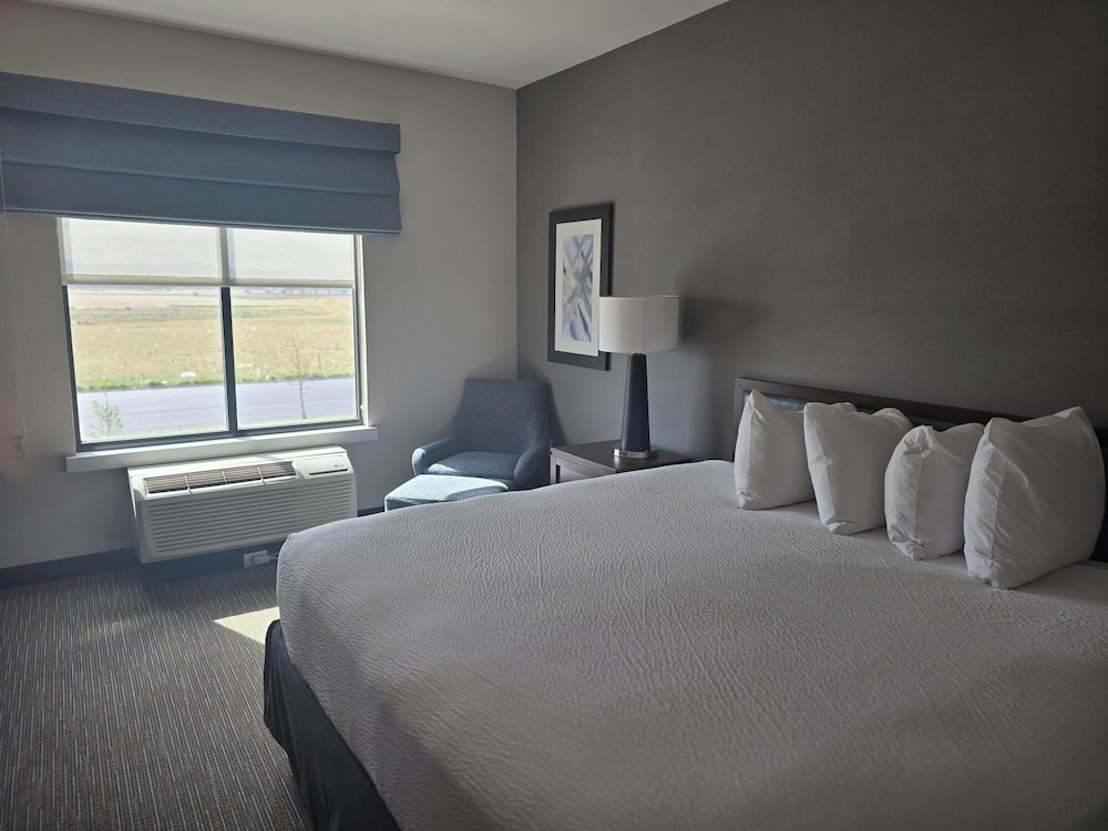 Room, King Bed