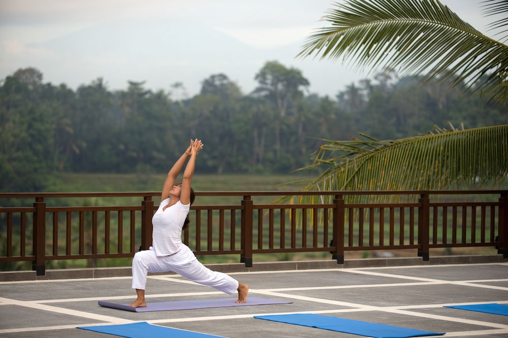 The Samaya Ubud Hotel 31/65