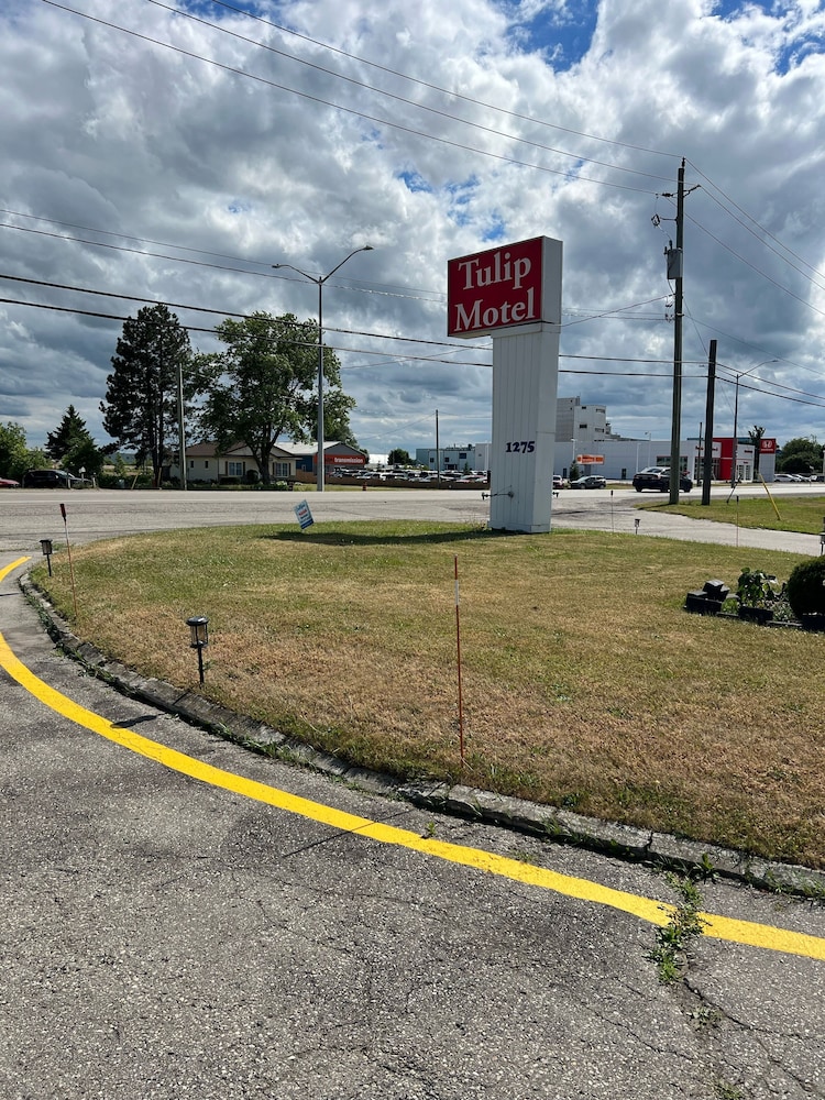Tulip Motel 40/50