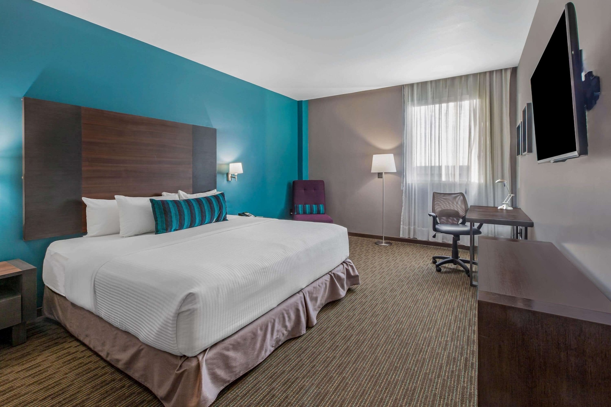 Executive, King Bed