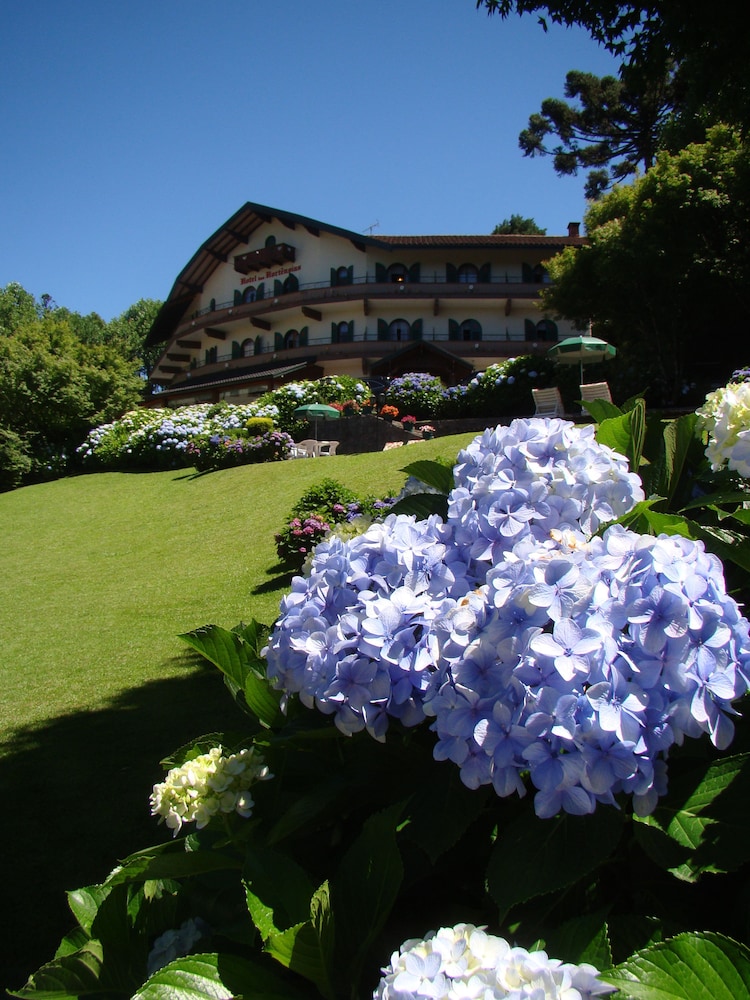 Hotel Das Hortensias 2/66