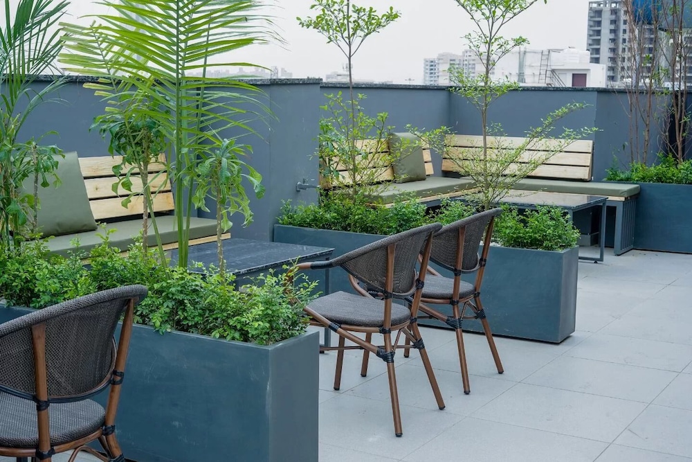 Saltstayz Basil - Near Golf Course Road 32/50