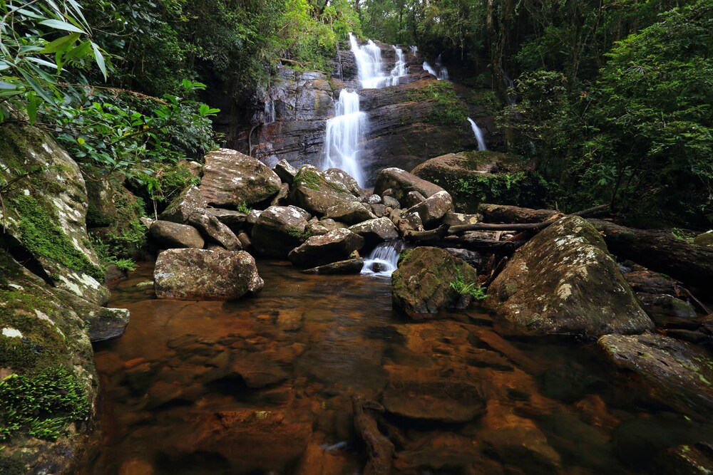 Rainforest Eco Lodge 35/41