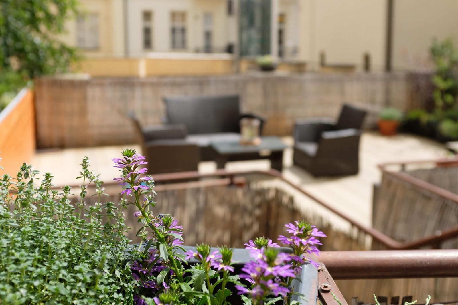 Mordecai 12 Apartments by Adrez Living 16/27
