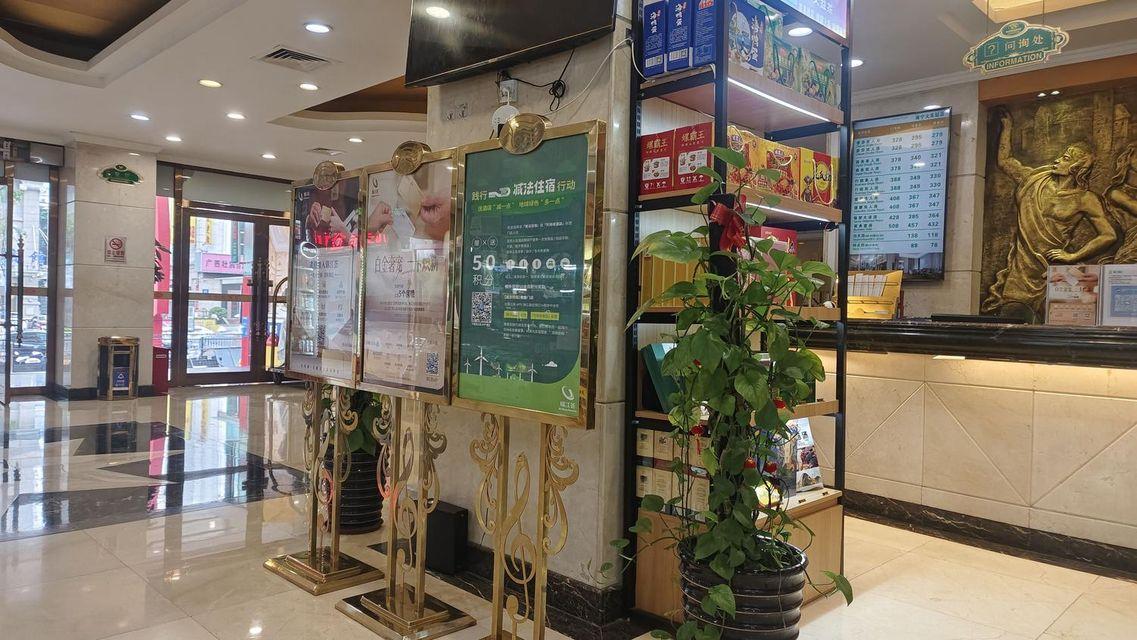 Vienna Hotel (Nanning Railway Station) 15/50