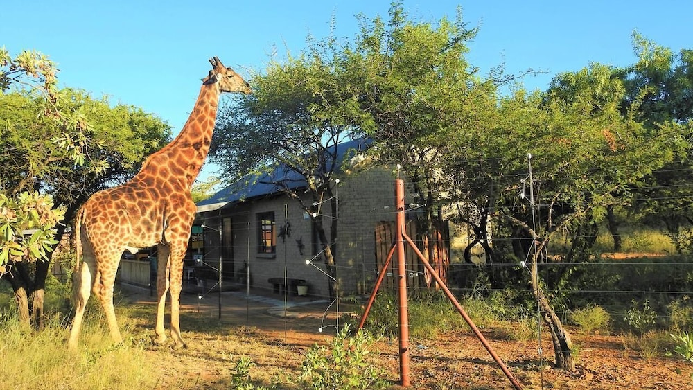 Marulani Bush Lodge 12/29