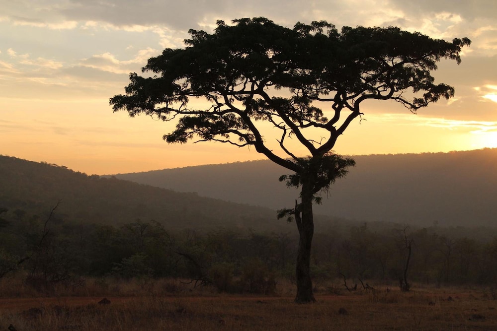 Inzalo Safari Lodge 20/45