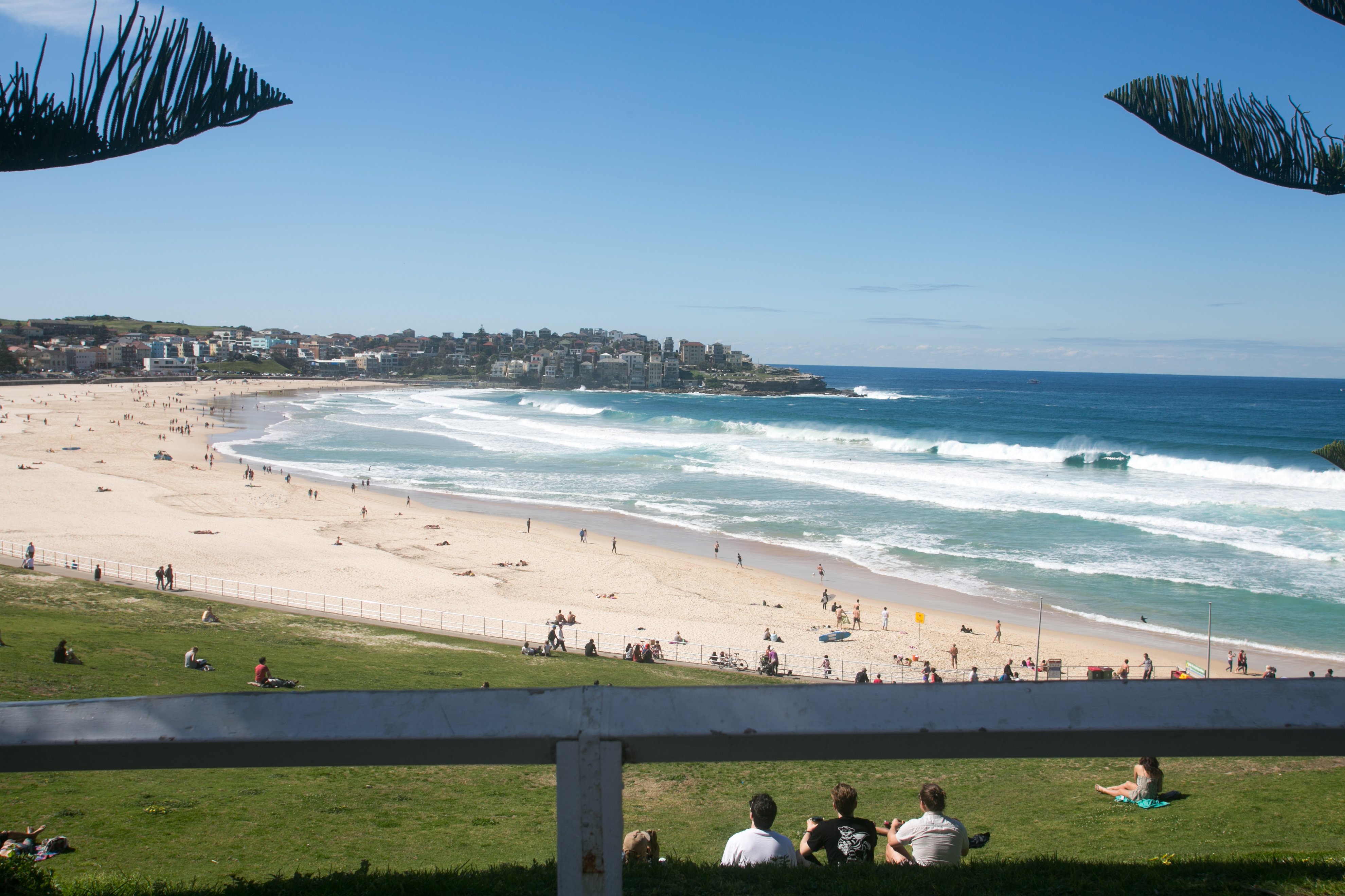 Bondi 38 Serviced Apartments 51/59