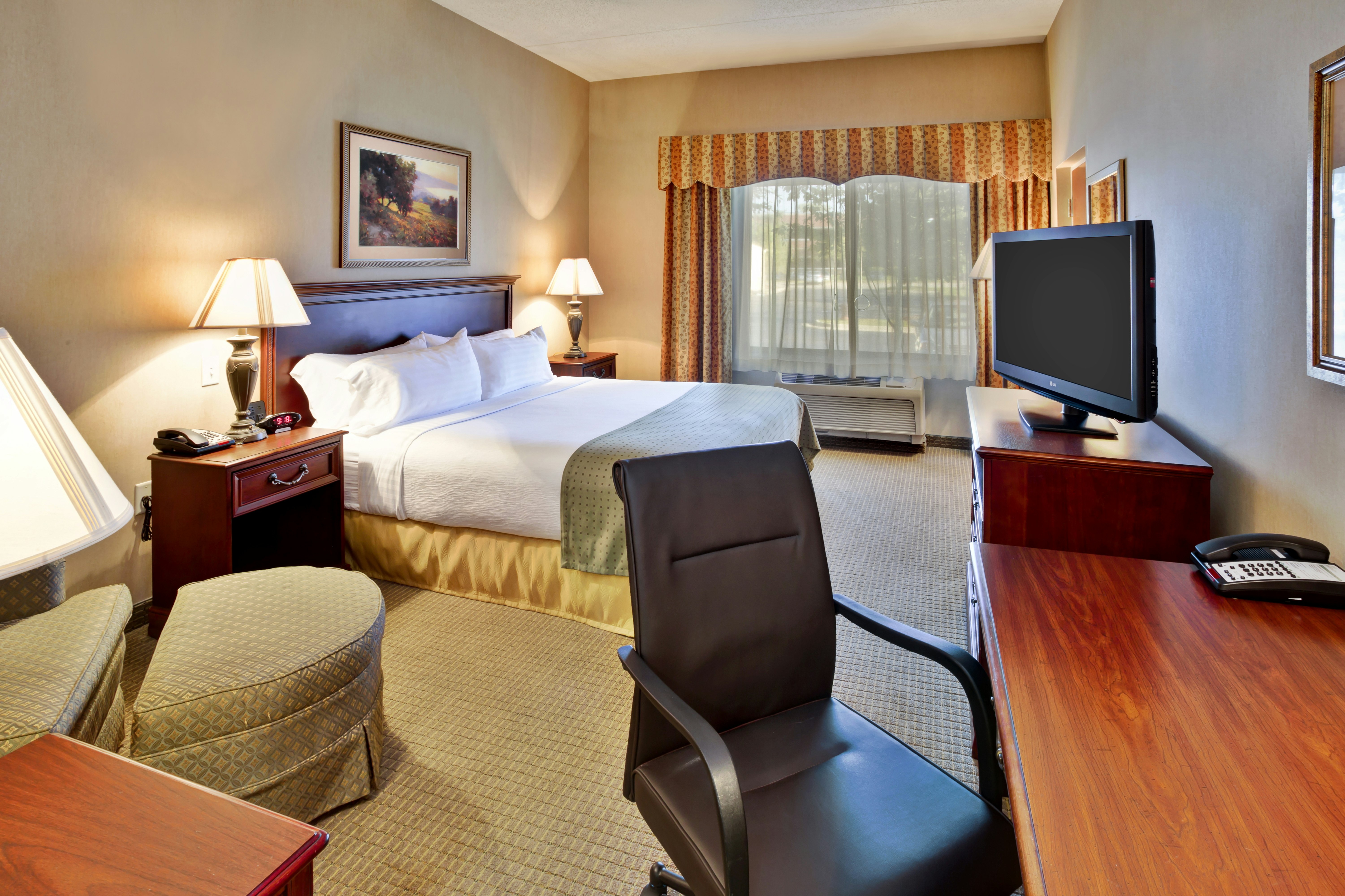Holiday Inn Hotel Suites Ann Arbor Univ Michigan 18/73