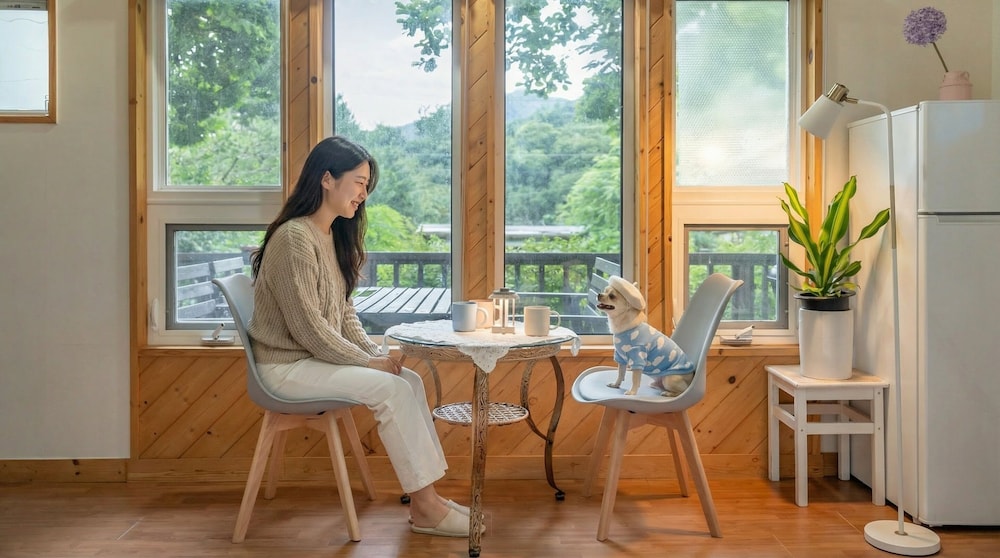 Hongcheon Lime Orange Pension 31/49