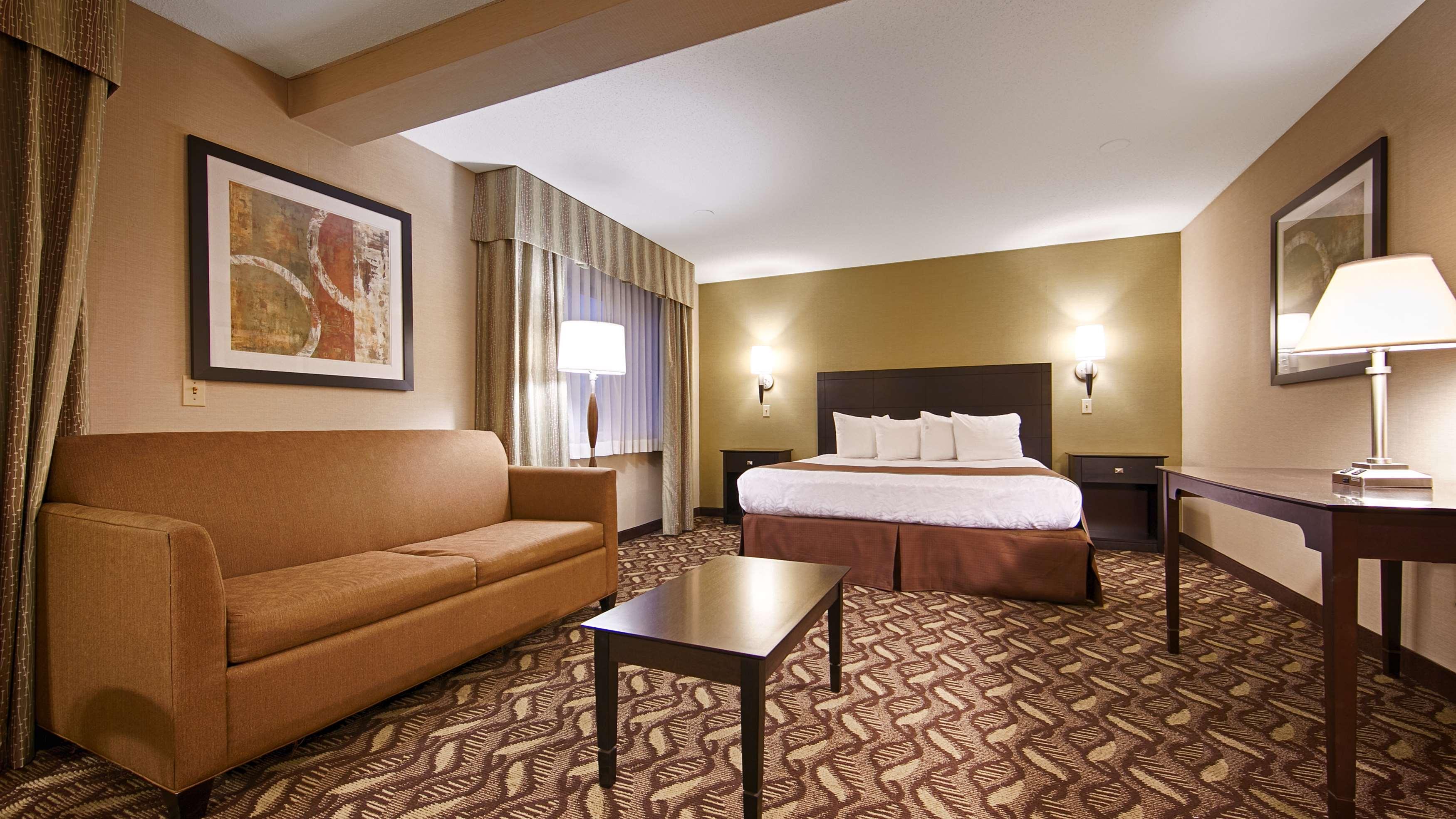 Suite, King Bed