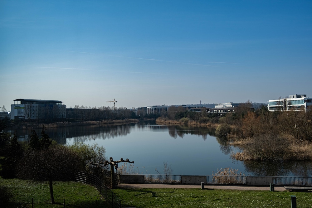 surroundings