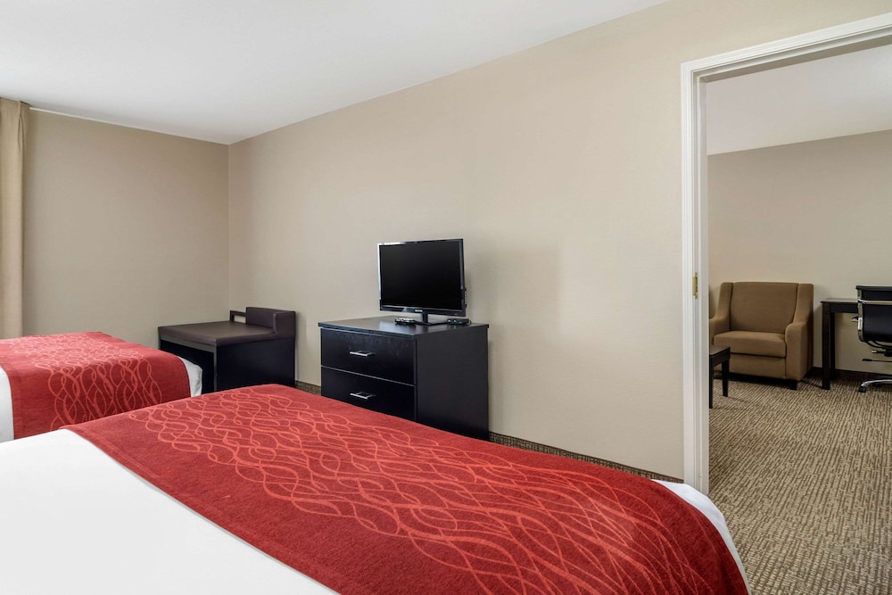 Comfort Inn & Suites Atlanta/Smyrna 17/35