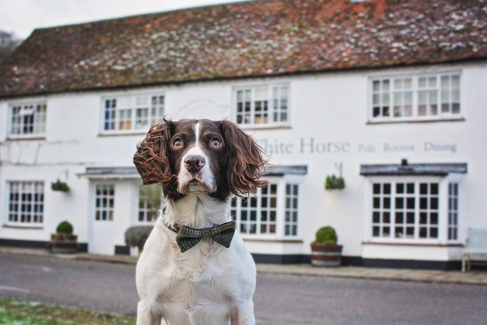 The White Horse 46/50