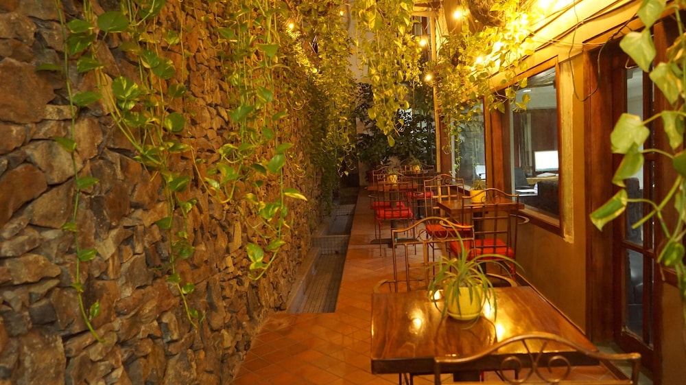 Hotel Casa del Arbol 49/50