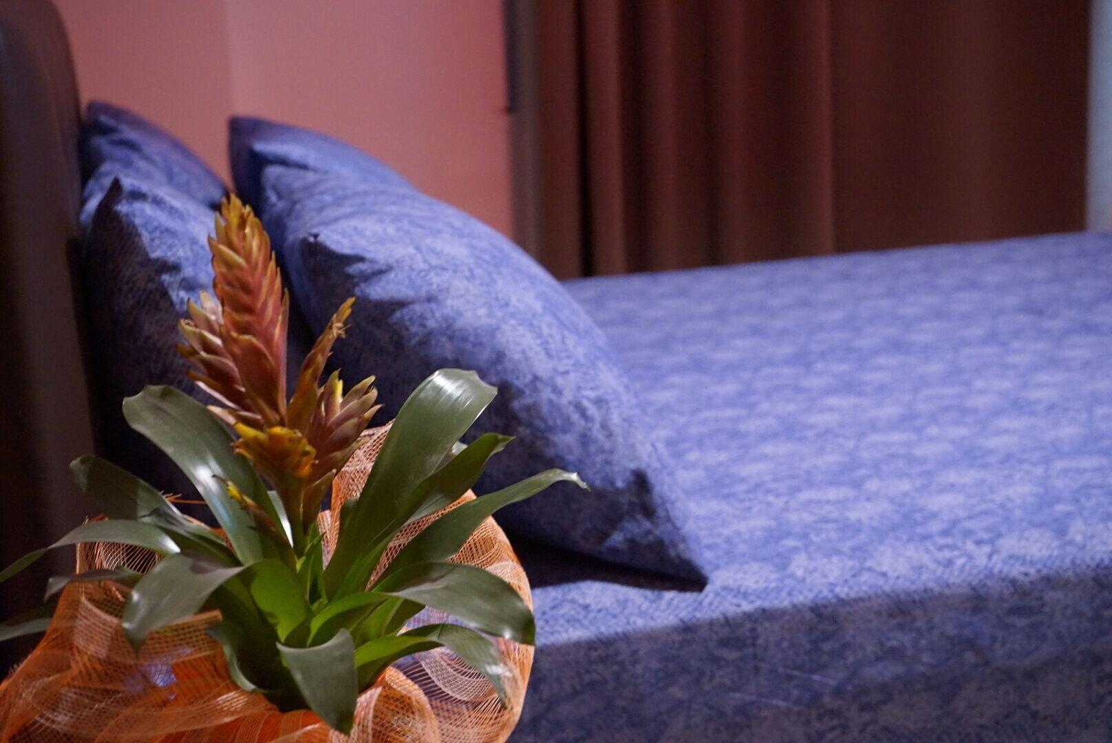 Orpheus Hotel - Hostel 32/48