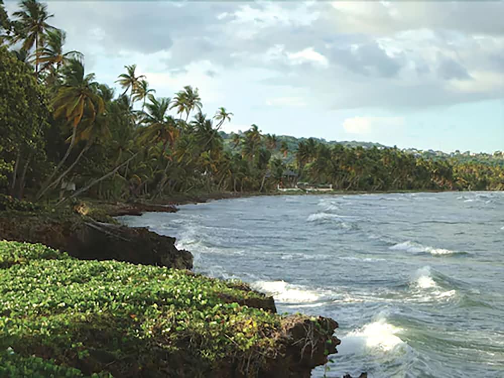 Magdalena Grand Beach Resort 40/52