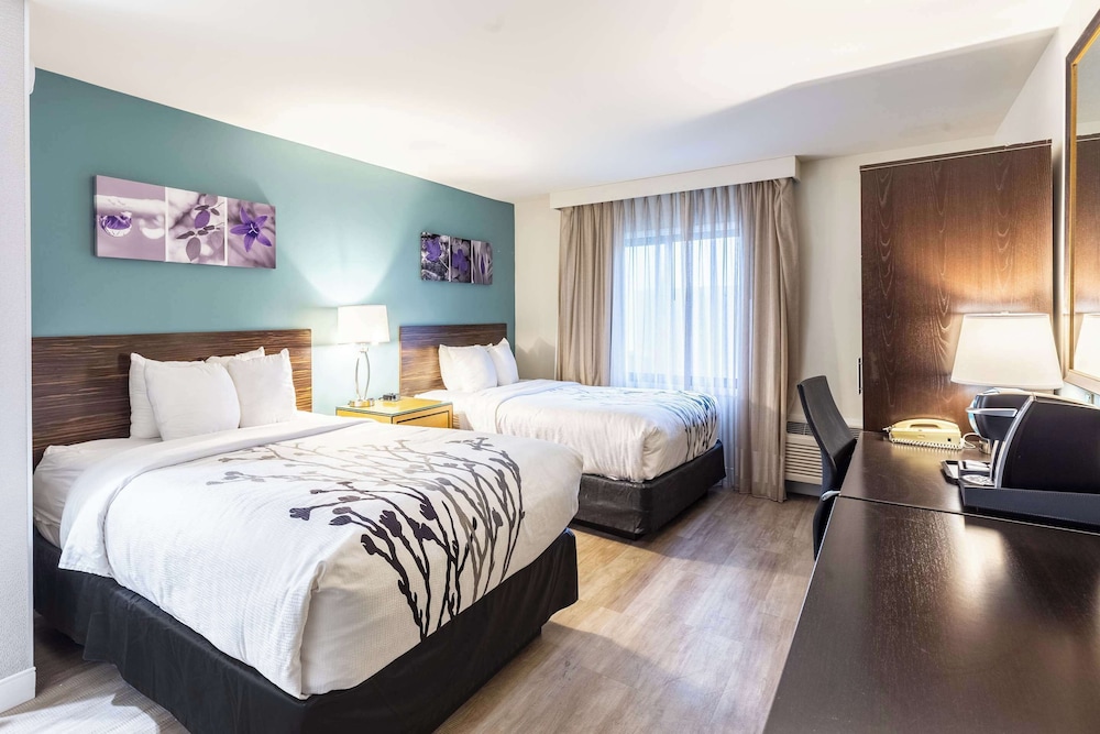 Room, 2 Double Beds, Ground Floor