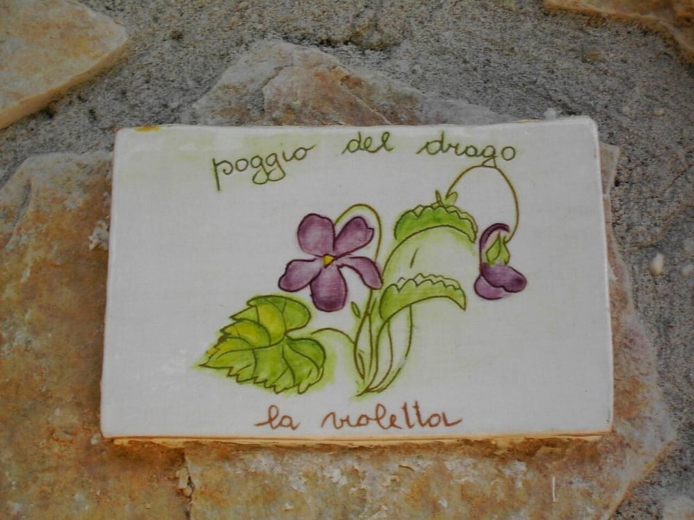 Agriturismo Poggio Del Drago 26/50
