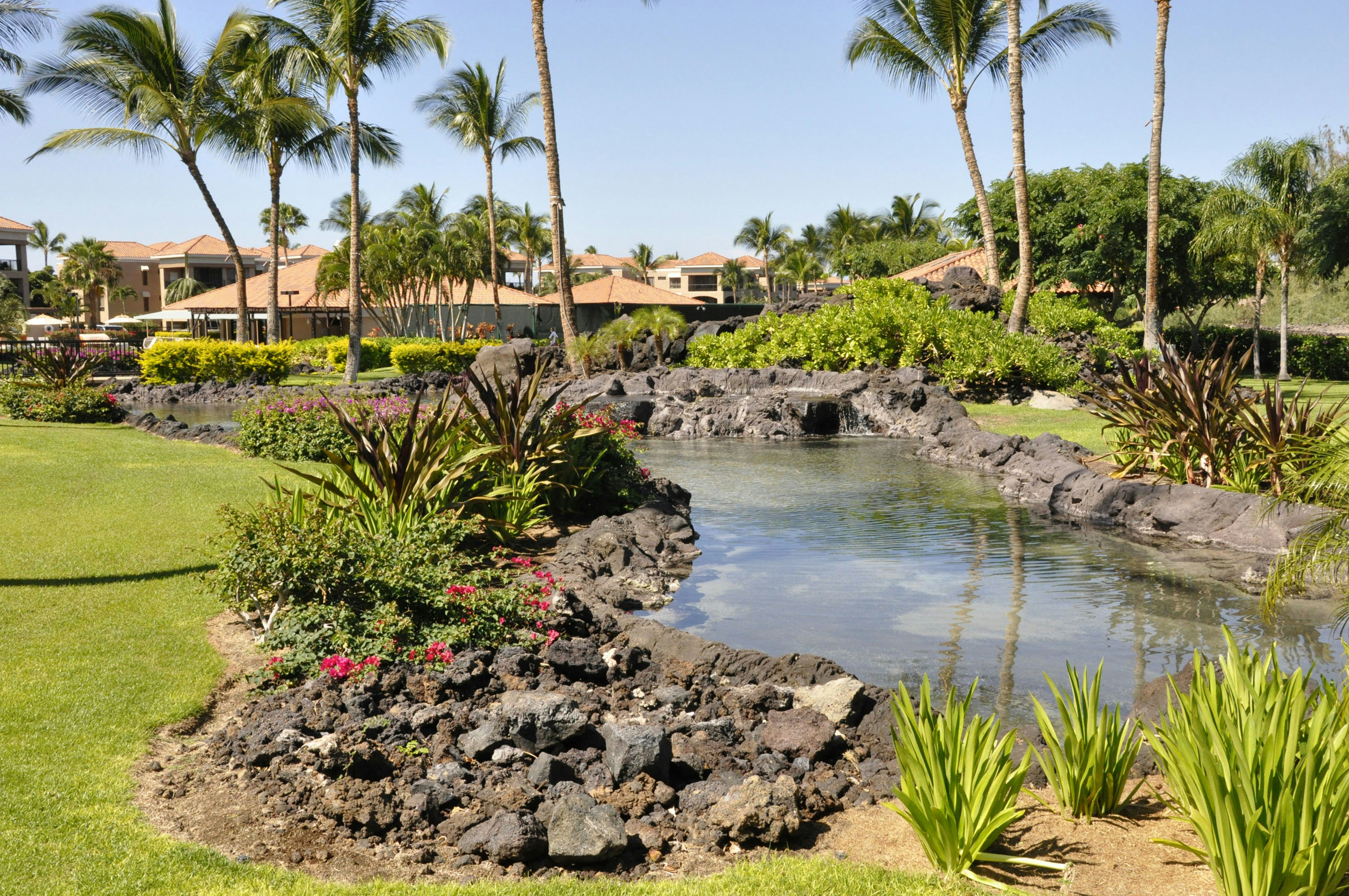 Kohala Suites By Hilton Grand Vacations 45/51
