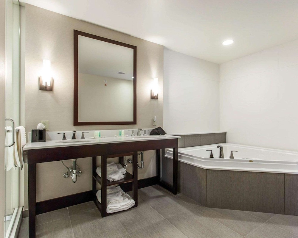 Comfort Suites Youngstown North 14/37