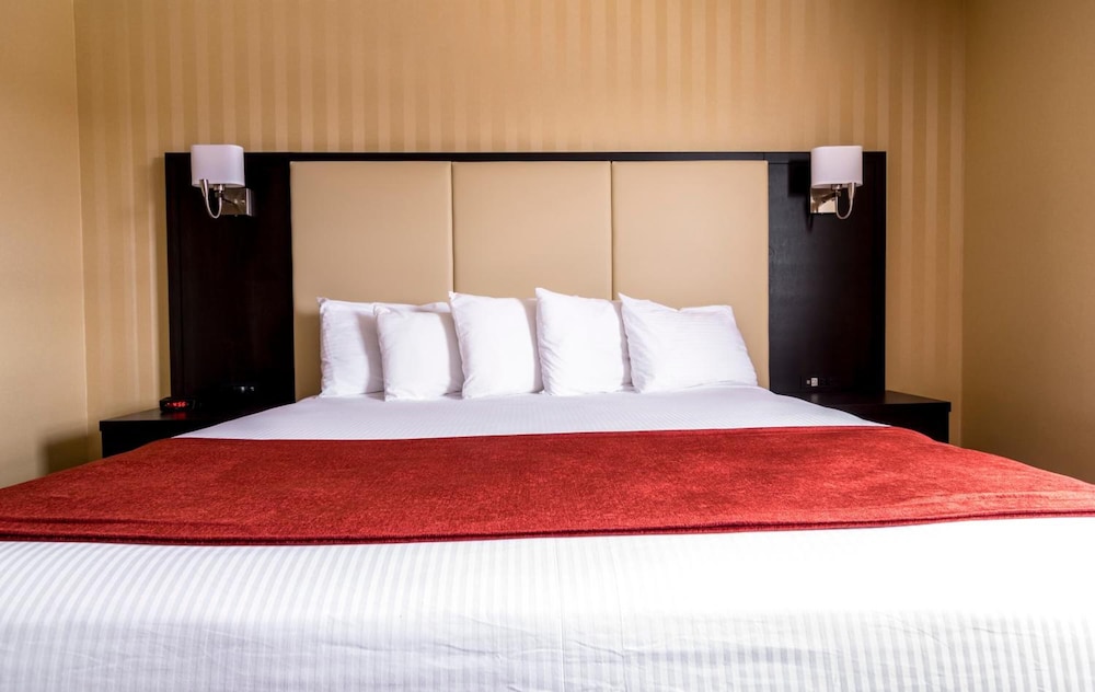 Sinbads Hotel And Suites 11/50