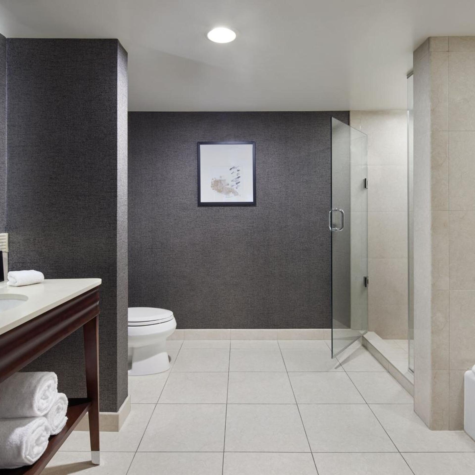 جناح بسرير كينج مع أريكة، Sheraton Valley Forge King of Prussia 4/4