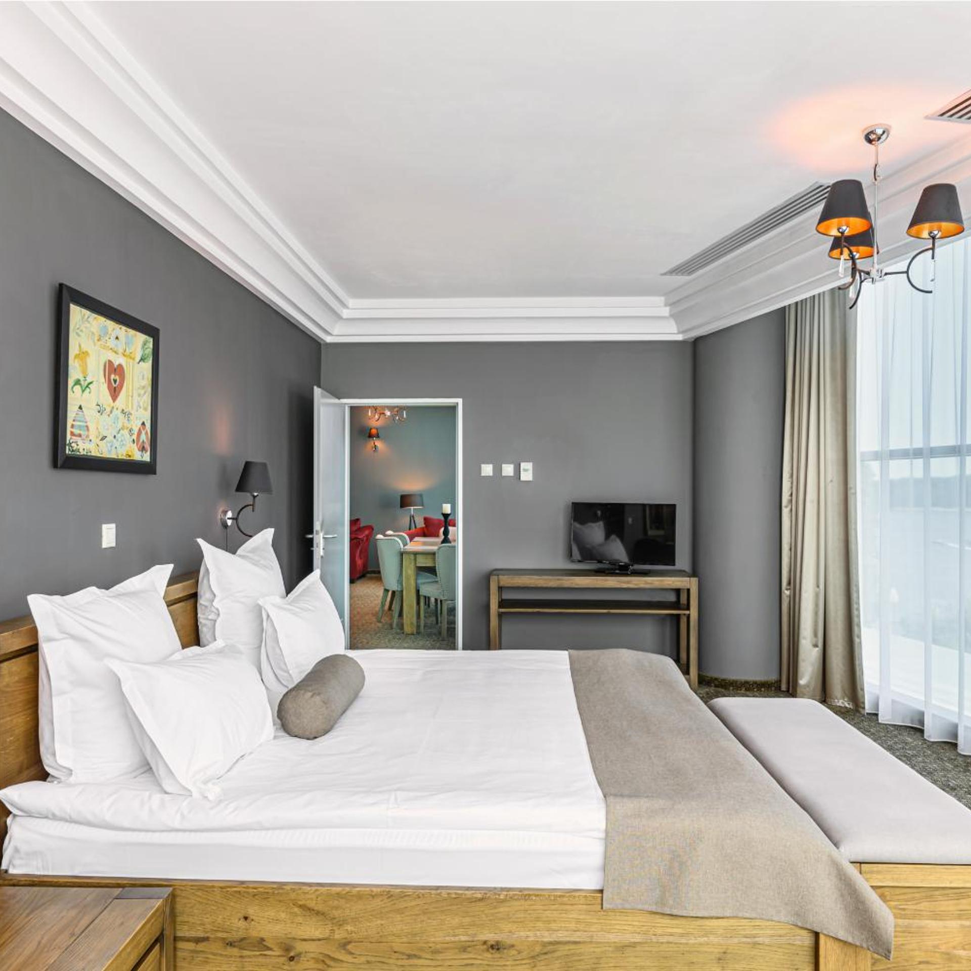 جناح رئاسي بانورامي بإطلالة على النهر، Vega Hotel 2/10