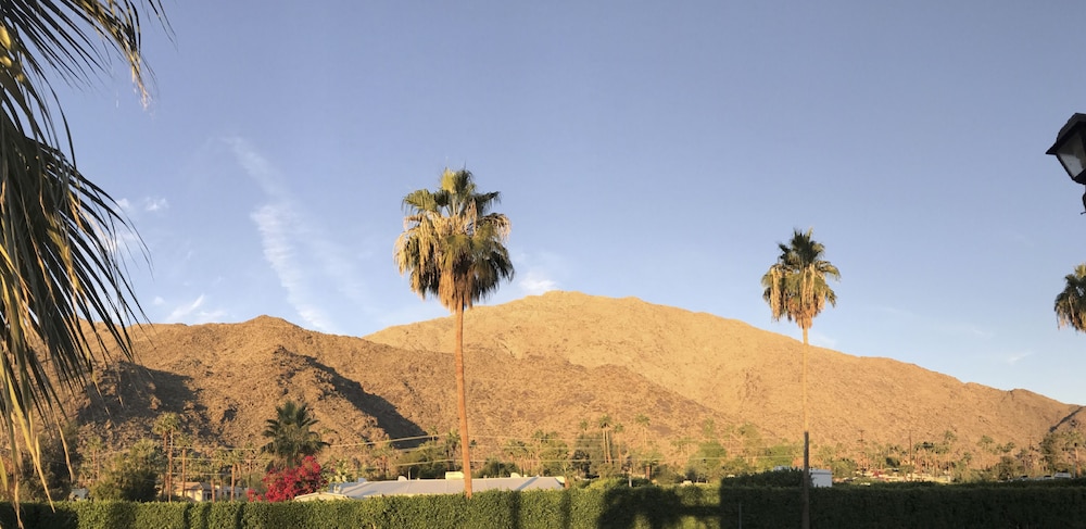 Delos Reyes Palm Springs 11/63