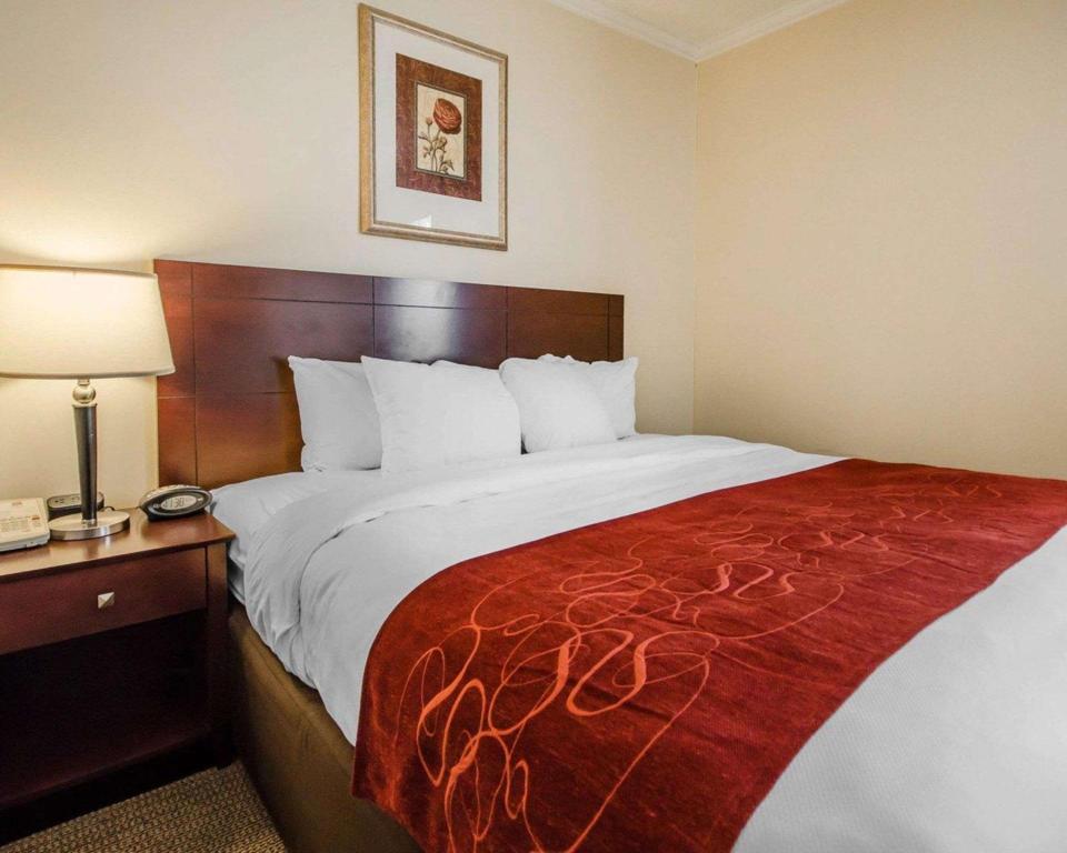 Suite, King Bed