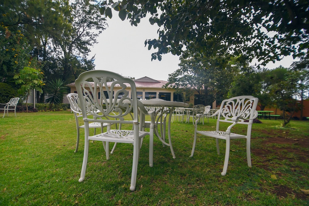 Falcon Heights Hotel 50/60