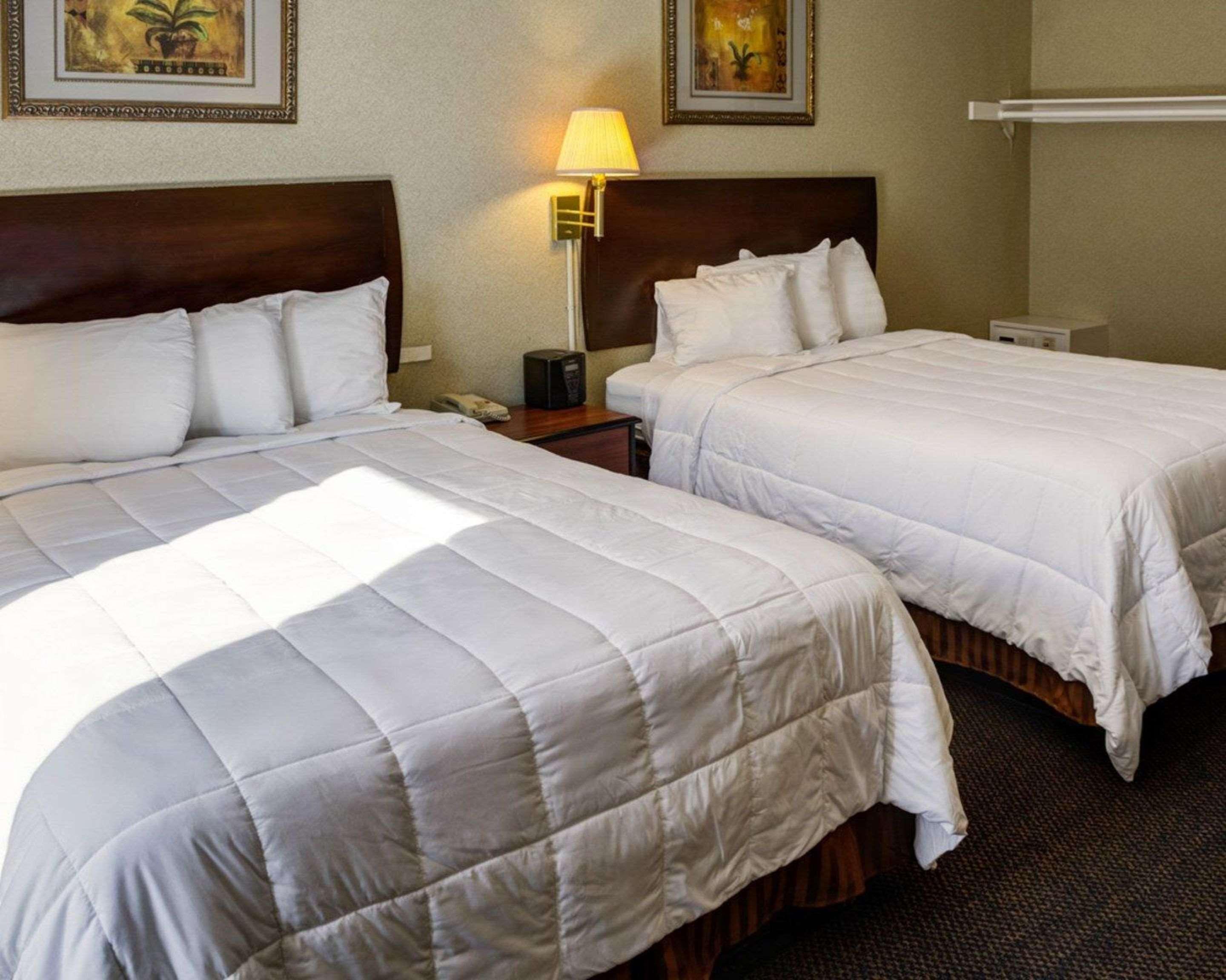 ROOM, 2 KING BEDS, ACCESSIBLE