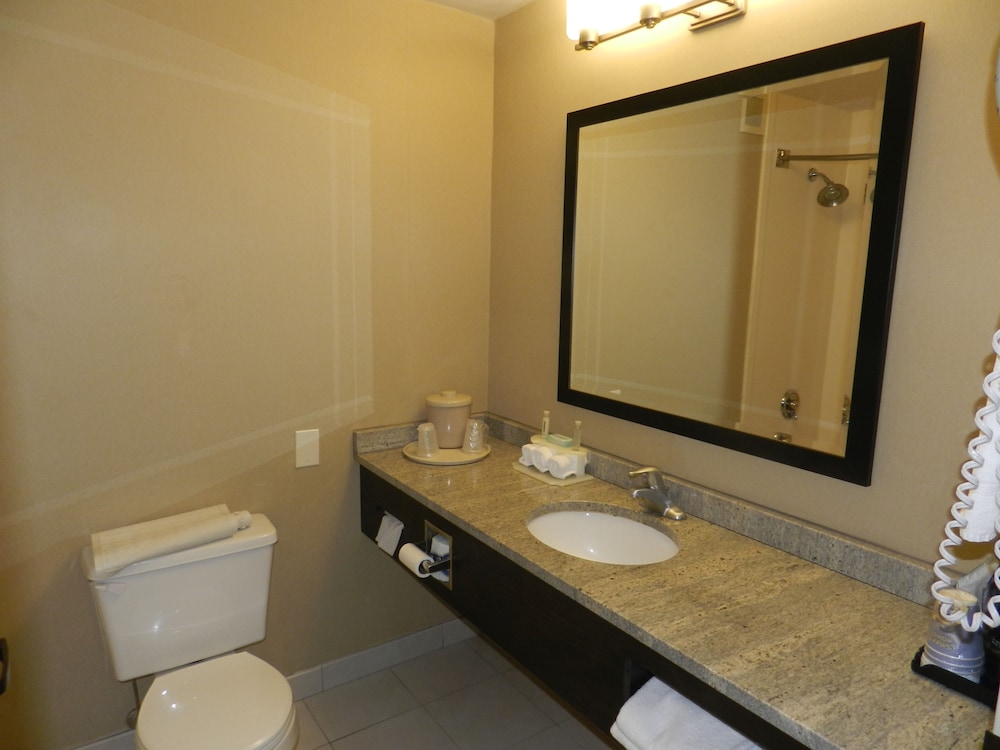 Holiday Inn Express Anderson-I-85 Exit 27-Hwy 81 6/34