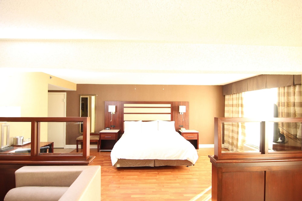 Holiday Inn Piscataway Somerset (Ex Radisson Hotel Piscataway) 34/81