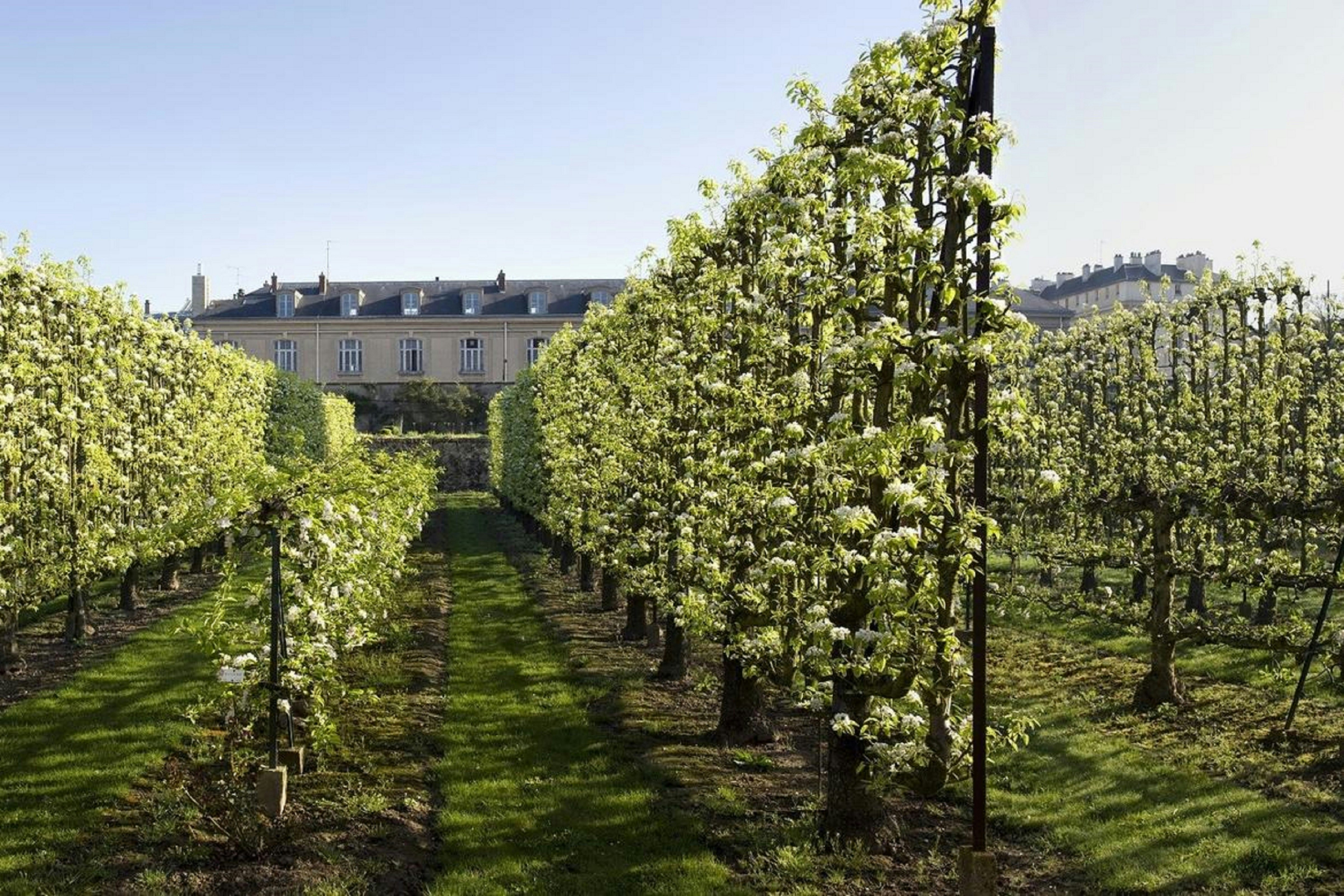 Waldorf Astoria Versailles Trianon Palace 46/50