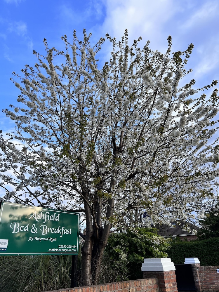 Ashfield Bed And Breakfast 34/44